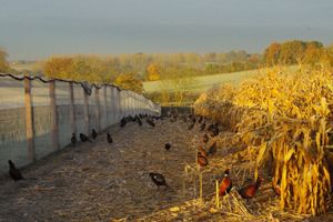 About Heart of England Farms